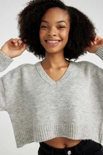 DEFACTO Regular Fit V-Neck Sweater