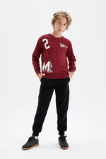 DEFACTO Boy Printed Sweatshirt Tracksuit Bottom 2-Piece Set