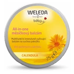 WELEDA All-in-one nechtíkový balzam 25 g