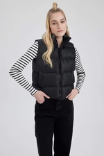 DEFACTO Regular Fit Vest