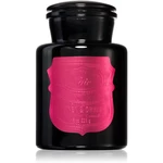 Paddywax Apothecary Noir Linen & Orris vonná svíčka 226 g