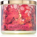 Bath & Body Works The Perfect Autumn vonná svíčka 411 g