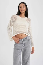 DEFACTO Relax Fit Crew Neck Pullover