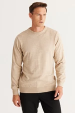 ALTINYILDIZ CLASSICS Men's Beige Standard Fit Normal Cut Crew Neck Knitwear Sweater