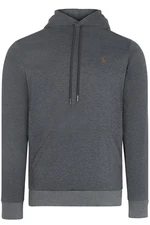 V4011 DEWBERRY MEN'S HOODED SWEATSHIRT-ANTHRACITE