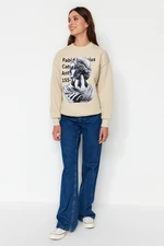 Trendyol Stone Thick Fleece Inside Printed Regular/Normal Knitted Sweatshirt