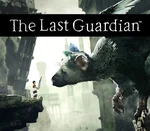 The Last Guardian PlayStation 4 Account