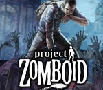 Project Zomboid NA Steam Gift