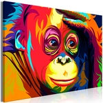 Obraz - Colourful Orangutan (1 Part) Wide