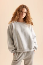 DEFACTO Cool Oversize Fit Wide Pattern Crew Neck Basic Plain Thick Fabric Sweatshirt