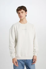 DEFACTO Boxy Fit Crew Neck Printed Sweatshirt