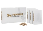 FEMINUS Doplněk stravy 60 tablet