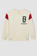 DEFACTO Boy's Crew Neck Printed Thick Sweatshirt