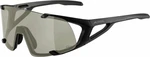 Alpina Hawkeye Q-Lite Black Matt/Silver Ochelari pentru sport