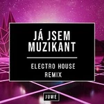 Juwe – Já Jsem Muzikant (Electro House Remix)