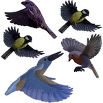 Nálepka do okna s obrazem ptáka Gardigo Stickers Native Birds 60086