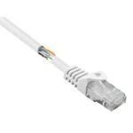 Síťový kabel RJ45 Basetech BT-2272254, CAT 5e, U/UTP, 25.00 cm, bílá