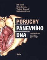 Poruchy pánevního dna - Petr Anděl, Matej Škrovina, Vladimír Benčurik, Mária Macháčková