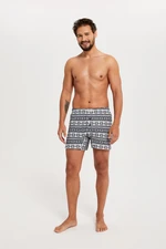 Men's boxer shorts Arctic - navy blue print