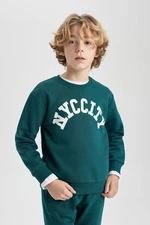 DEFACTO Boy's Crew Neck Printed Sweatshirt