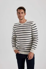 DEFACTO Standard Fit Crew Neck Knitwear Pullover