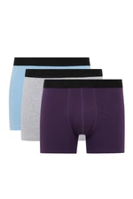 DEFACTO Regular Fit 3-Piece Boxer