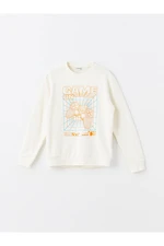 LC Waikiki Crew Neck Printed Long Sleeve Boys' T-Shirt