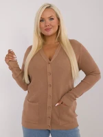 Brown large women's sweater with long sleeves