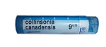 BOIRON Collinsonia canadensis CH9 granule 4 g