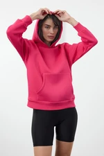 Trendyol Fuchsia Fuchsia Hooded Regular/Normal Pattern Knitted Sweatshirt