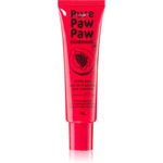 Pure Paw Paw Ointment balzám na rty a suchá místa 15 g