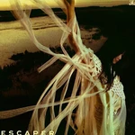 Sarah Kinsley - Escaper (LP)