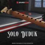 Soundiron Solo Duduk (Produs digital)