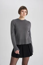 DEFACTO Regular Fit Crew Neck Sweater