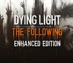 Dying Light Enhanced Edition PC Steam Account
