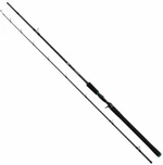 Salmo Tollmaster Canna 2,4 m 40 - 60 g 2 parti