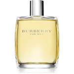 Burberry Burberry for Men toaletná voda pre mužov 100 ml