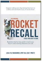 The Original Rocket Recall