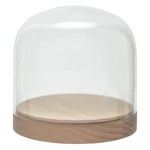 Sklenená vitrínka Wireworks Pleasure Dome Beech, 13 cm