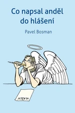 Co napsal anděl do hlášení - Pavel Bosman - e-kniha