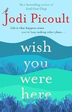 Wish You were here - Jodi Picoultová