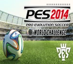 Pro Evolution Soccer 2014 - World Challenge DLC Steam Gift