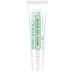 Mario Badescu Mint Lip Balm ultra výživný balzam na pery 10 g