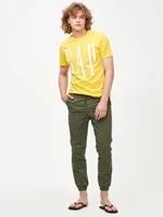 Men's Green Pants GAP Slim