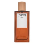 Loewe Solo Loewe Pour Homme toaletní voda pro muže 100 ml