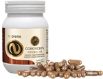 Nupreme Cordyceps extrakt 100 kapslí