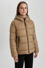 DEFACTO Regular Fit Coat