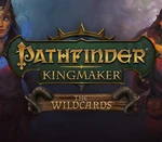 Pathfinder: Kingmaker - The Wildcards DLC PC Steam CD Key