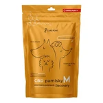 CURE POINT CBD Recovery M Maškrty pre psov 100 g