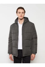 LC Waikiki Standard Mold Stand Collar Men's Puffer Coat